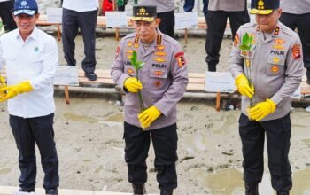 Pemulihan Ekosistem Pesisir, Kapolri dan Menteri LHK Tanam Mangrove di Mempawah