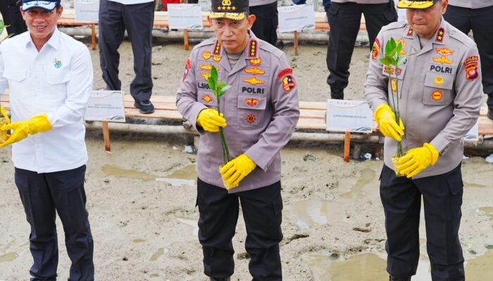 Pemulihan Ekosistem Pesisir, Kapolri dan Menteri LHK Tanam Mangrove di Mempawah