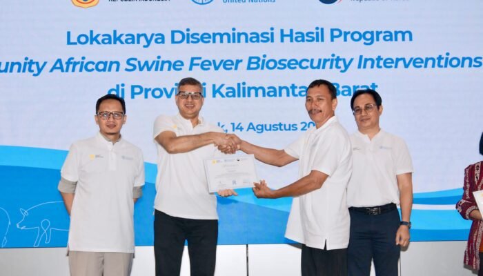 Kementan–FAO Sukses Kendalikan ASF di Kalbar Lewat Program Biosekuriti
