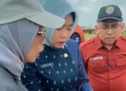 Kadisdikbud Kalbar Tinjau Lokasi Rencana Pendirian SMA Unggul Garuda di Mempawah