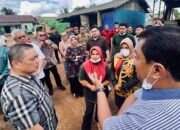 Ria Norsan Tinjau Pabrik Kratom di Putussibau, Dorong Regulasi untuk Lindungi Petani