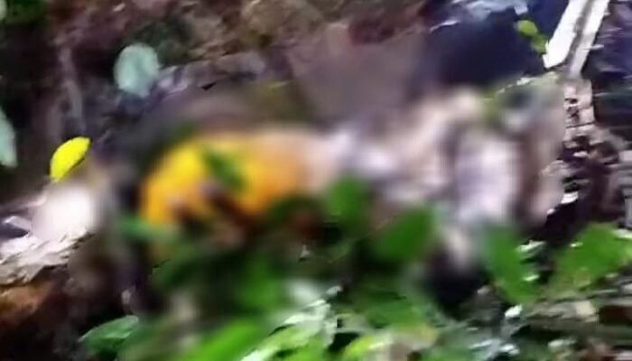 Geger Penemuan Mayat di Kecamatan Tebas, Penasaran Apa Penyebabnya?