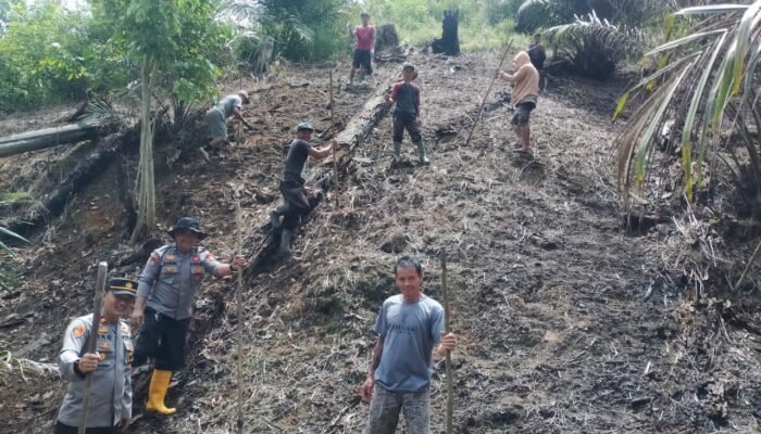 Tanam Jagung 1 Desa 1 Hektare, Kapolsek Kuala Behe Tekankan Komitmen Polri untuk Kemandirian Pangan