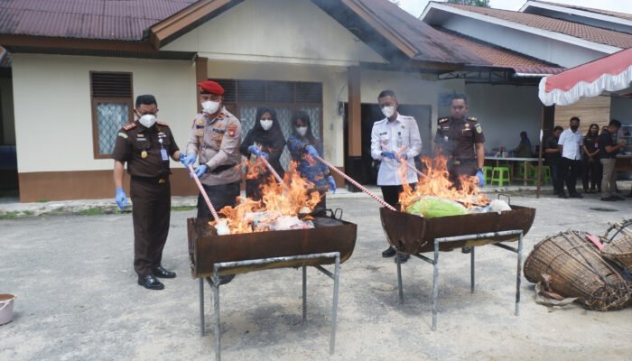 Kejari Landak Musnahkan Barang Bukti 54 Perkara Berkekuatan Hukum Tetap dengan 19 Perkara Narkotika
