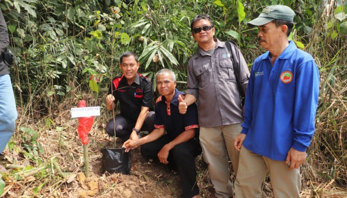 Kolaborasi Jurnalis Landak dan Berbagai Pihak Tanam Ratusan Bibit Pohon di Sekolah Alam Dusun Leban