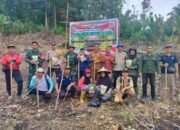 Tanam Jagung, Koramil Air Besar Landak Dukung Peningkatan Produksi Pangan