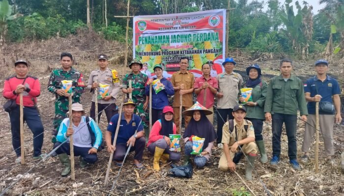 Tanam Jagung, Koramil Air Besar Landak Dukung Peningkatan Produksi Pangan