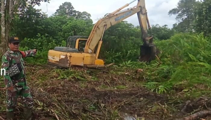 Melalui Babinsa Kodim Landak Dampingi Perluasan Lahan Pertanian Program Cetak Sawah