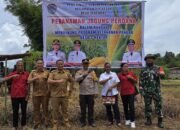 Program 1 Desa 1 Hektare Jagung Desa Sekendal Landak Diharapkan Bisa Jadi Percontohan Warga