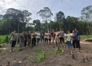 Polsek Kuala Behe Gencarkan Penanaman Jagung di Desa Dukung Ketahanan Pangan