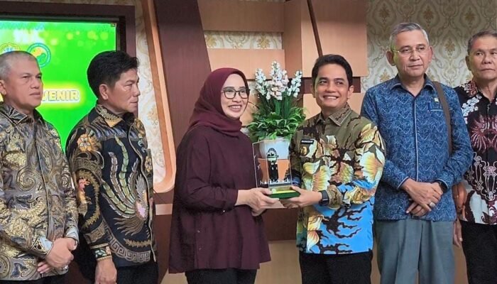 Komisi IX DPR Tegaskan RS Dilarang Tolak Pasien Gangguan Jiwa