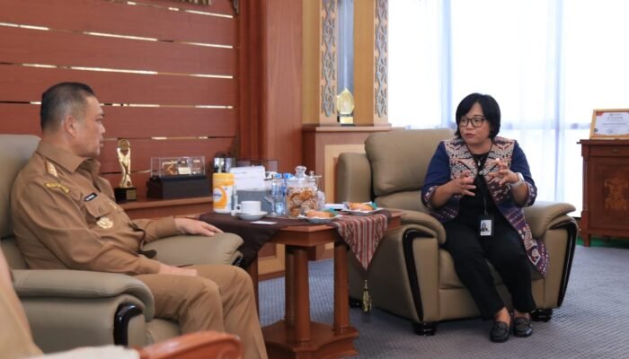 Gubernur Ria Norsan Harap PLN Tingkatkan Pelayanan Listrik di Kalbar