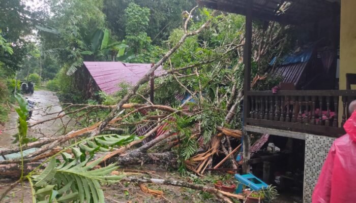 Puting Beliung Terjang Melawi, Sejumlah Bangunan Rusak