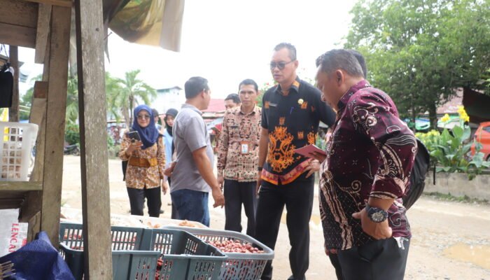 Pemkab Landak Sidak Harga Bahan Pokok, Bupati Karolin : Kita Akan Terus Melakukan Pemantauan