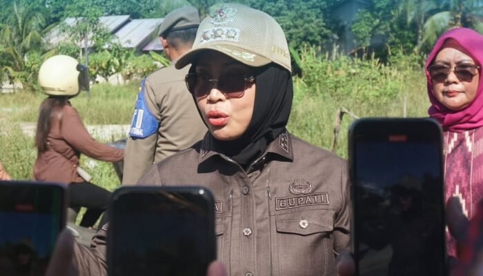 Tanggapi Keluhan Warga, Bupati Erlina Tinjau Langsung Jalan Rusak di Desa Antibar
