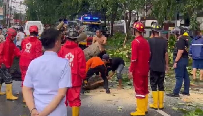 Wali Kota Pontianak Ingatkan Warga Waspada Cuaca Ekstrem, Pohon Tumbang Jadi Sorotan