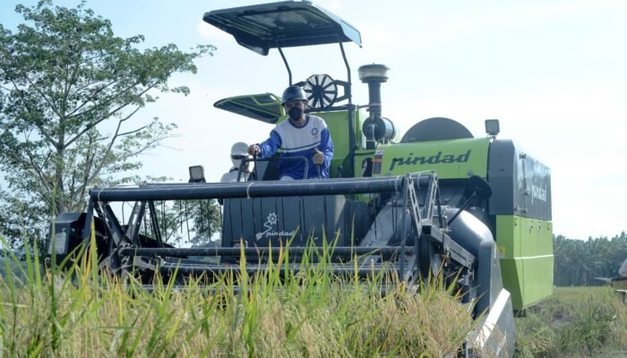 Produksi Padi di Landak Sudah Capai 126.152 Ton, Plt Kadis DPPKP Sahbirin: Akan Terus Meningkat
