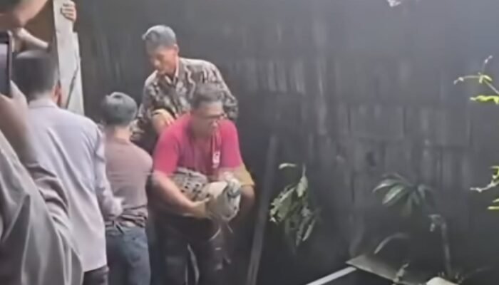 Bikin Resah, Buaya Betina Dievakuasi Warga Tanjung Hulu Pontianak