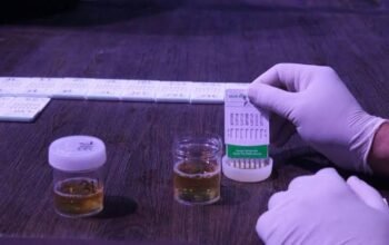 Kepala BKPSDM: Dua ASN yang Terindikasi Positif Narkoba Baru Lulus PPPK