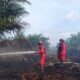 Manggala Agni Padamkan Karhutla di Selakau Tua, Api Hanguskan 29,4 Hektare Lahan Gambut