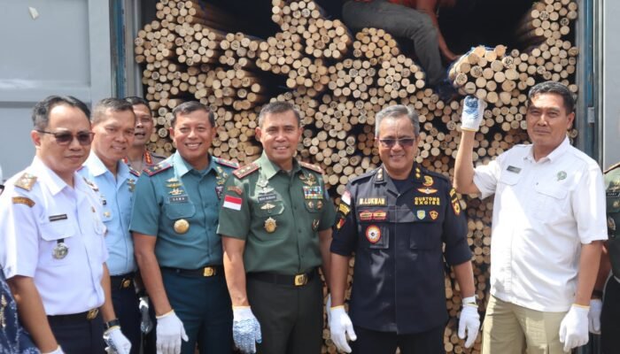 Mangkir dari Pemeriksaan, Bea Cukai Kalbagbar Naikkan Kasus Ekspor Rotan Ilegal Rp2,9 Miliar ke Penyidikan