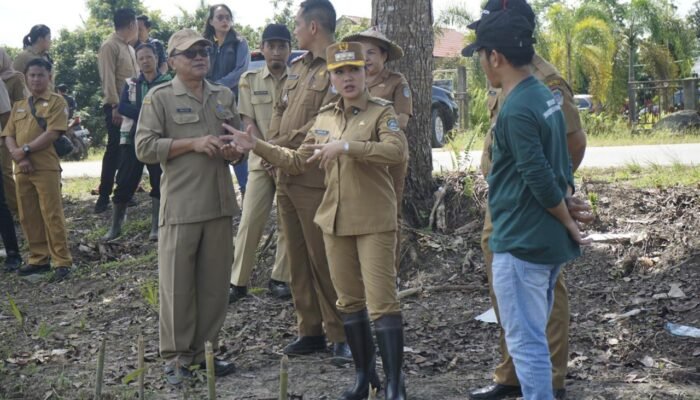 Bupati Karolin Arahkan Anggaran Pertanian Turun ke Desa dan Dirasakan Petani