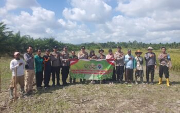 Dukung Asta Cita Presiden RI Polsek Semparuk Tanam Jagung 1 Hektar di Desa Seburing