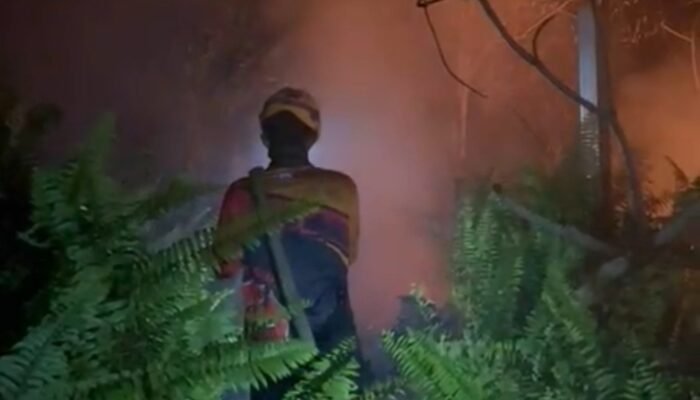 Api Gambut Mengancam Permukiman Wonodadi, Relawan Damkar Kubu Raya Bertahan Hingga Malam