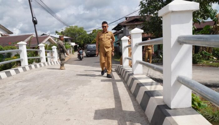 Edi Kamtono Pastikan Jembatan Dharma Putra Diperlebar, Buat Turap dan Pedestrian