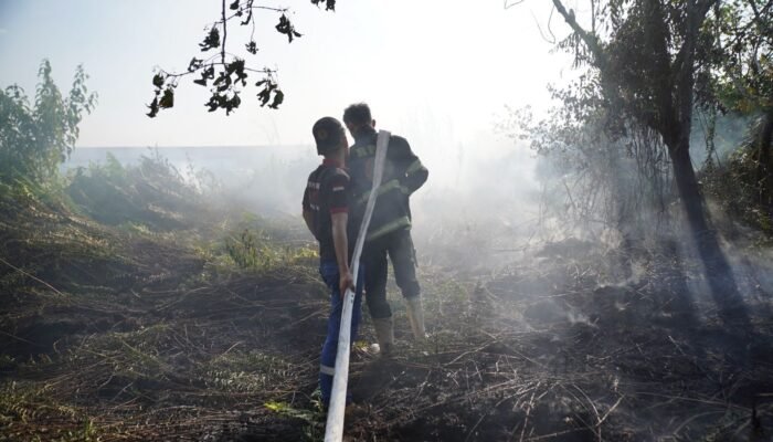 Edi Rusdi Kamtono Tinjau Kebakaran di Batas Kota, Minta Bantuan BPBD Kalbar