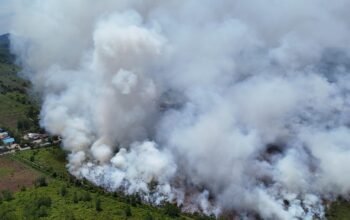 Asap Pekat Selimuti Galang Mempawah, Karhutla Belum Berhasil Dipadamkan
