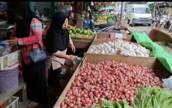 Bawang Merah Tembus Rp77.500/Kg di Kabupaten Sintang, Pasokan dari Pulau Jawa Tersendat