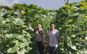 Pekarangan Warga Pawis Hilir Disulap Jadi Sumber Pangan, Bintara Penggerak Desa Beri Dukungan