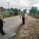 Pejalan Kaki Tewas Ditabrak Motor di Galing, Polisi Ungkap Kronologis Kejadian