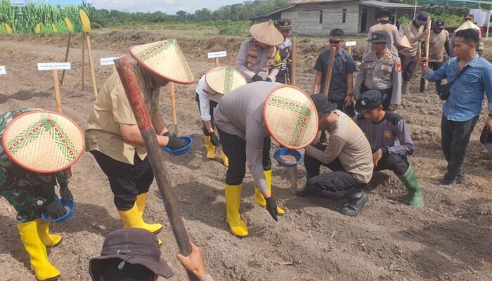 Polres Sambas Tanam Jagung di Kartiasa, Perkuat Ketahanan Pangan dan Targetkan Peningkatan Produksi 2026