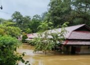 Dampak Banjir, Disdikbud Kalbar Ambil Langkah Sistem Belajar Darurat