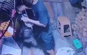 Aksi Maling Terekam CCTV, Hampir Semua Kios di Pasar Pagi Serdam Pontianak Dibobol Dini Hari