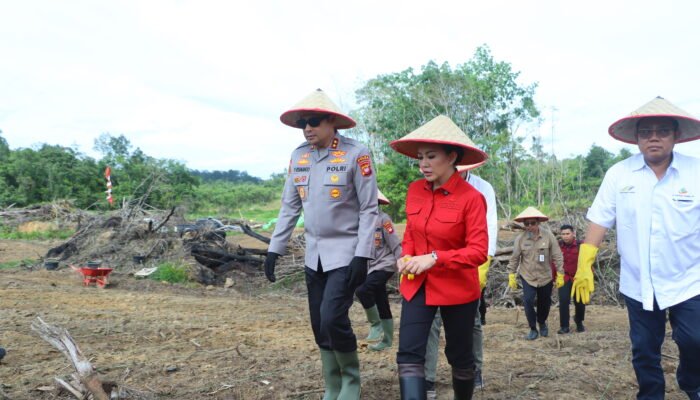 Tanam Jagung Bersama Kapolda Kalbar, Bupati Karolin: Dukung Hilirisasi Peternakan di Mandor