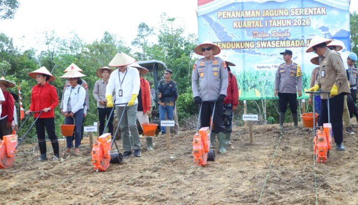 Kapolda Kalbar Pimpin Penanaman Jagung pada Lahan 120 Hektare di Landak