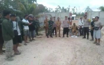Sempat Ricuh Pekan Lalu Warga Tiga Desa Kembali Datangi PT FBR di Desa Kayu Ara Mandor