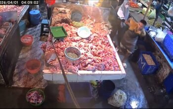 Curi 10 Ekor Ayam di Pasar Flamboyan, Wanita Ini Tertangkap Pedagang Usai Aksinya Terekam CCTV