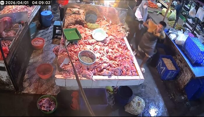 Curi 10 Ekor Ayam di Pasar Flamboyan, Wanita Ini Tertangkap Pedagang Usai Aksinya Terekam CCTV