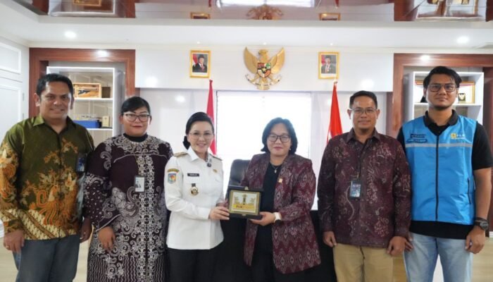 Karolin Dorong Percepatan Listrik Desa di Landak, PLN Target Tuntaskan Bertahap hingga 2028