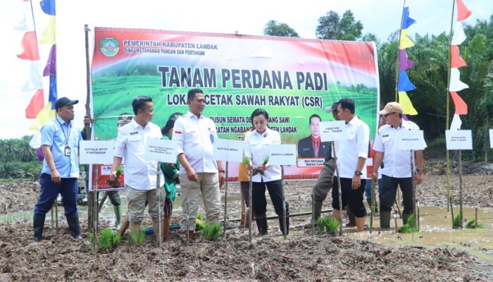 Lahan Cetak Sawah di Landak Diminta Segera Ditanam