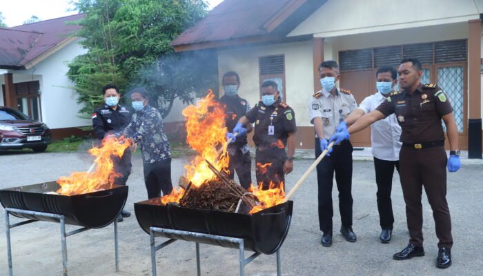 Barang Bukti 27 Perkara Dimusnahkan Kejari Landak, Terbanyak Kasus Narkotika