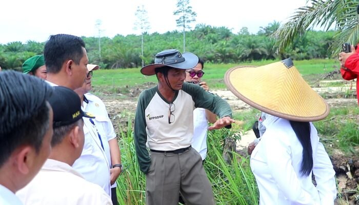 Nikolaus Supin, Petani Disabilitas Penggerak Pertanian di Dusun Semata Landak