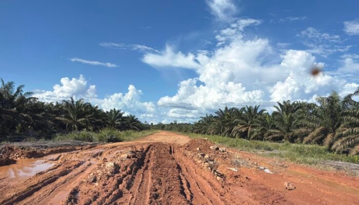 Percepat Konektivitas, Gubernur Kalbar Genjot Peningkatan Jalan Perawas Ketapang