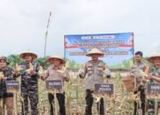 Sekda Ketapang Ikuti Panen Raya Jagung Serentak Nasional, Dukung Swasembada Pangan