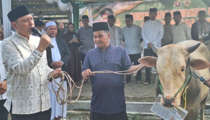 Momentum Idul Adha 1447 H, Polda Kalbar Tebar Kepedulian Lewat 147 Hewan Qurban