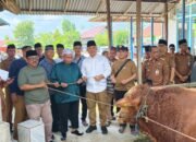 Bupati Ketapang Serahkan Hewan Kurban, Ajak Masyarakat Perkuat Kebersamaan dan Kepedulian Sosial